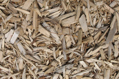 biomass boilers Wingate